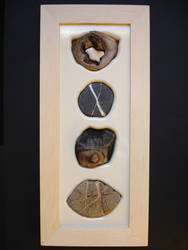 natural wood, roots, stones, designed in a piece of art